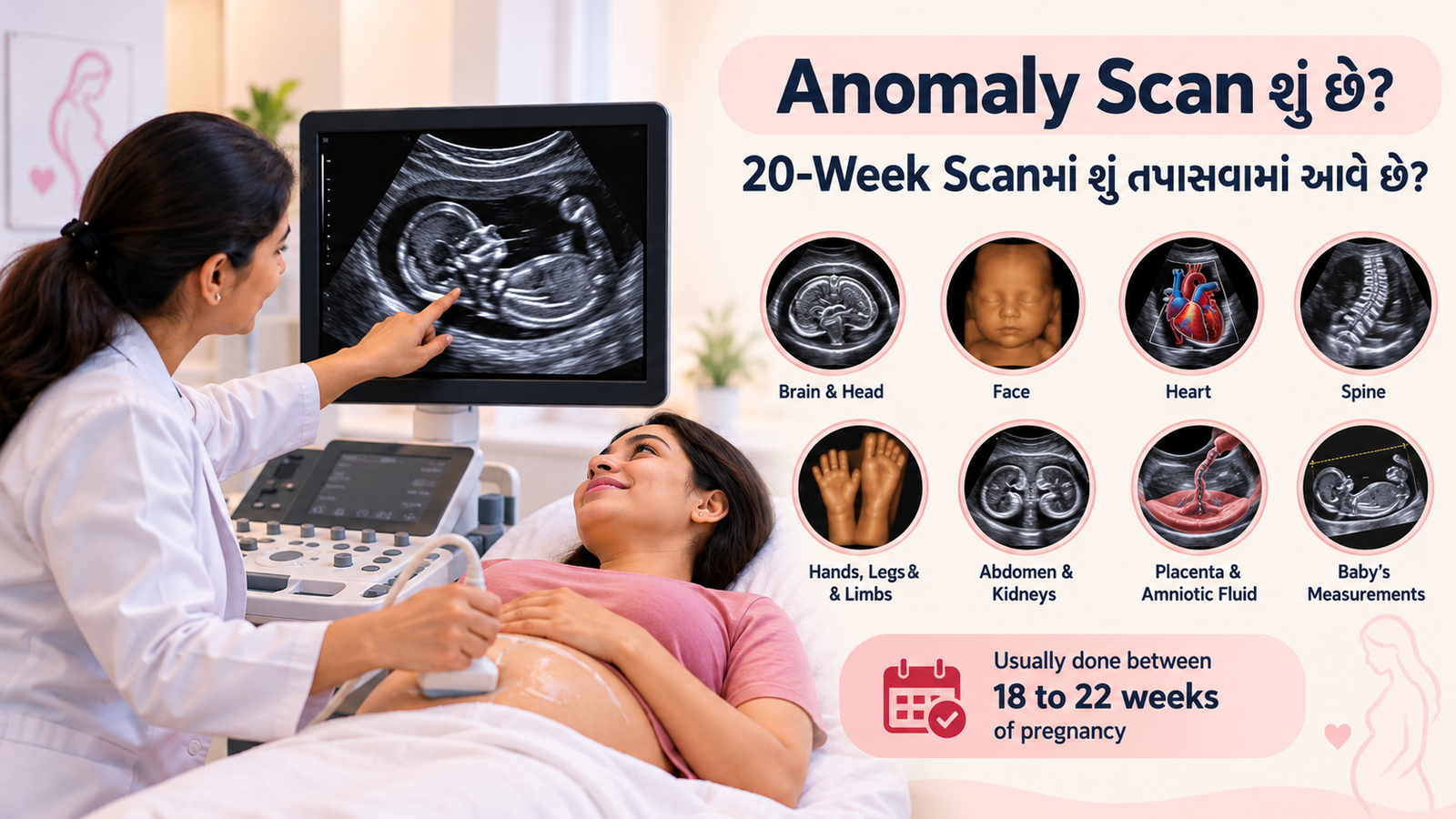 Anomaly Scan શું છે? 20-Week Scanમાં શું તપાસવામાં આવે છે?
