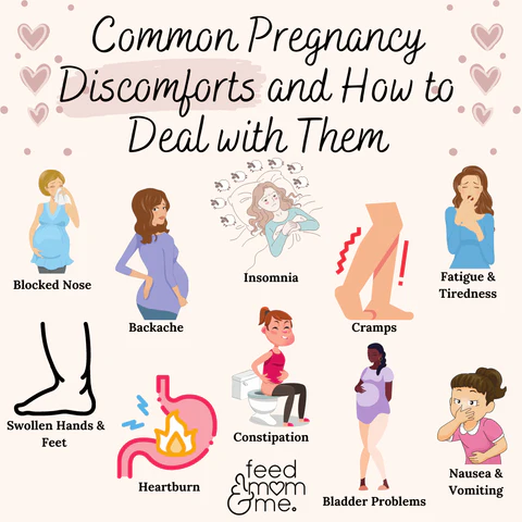 Common Pregnancy Symptoms 